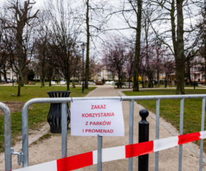 Dostali mandat za siedzenie w aucie 