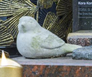 Grób Kory tonie w kwiatach