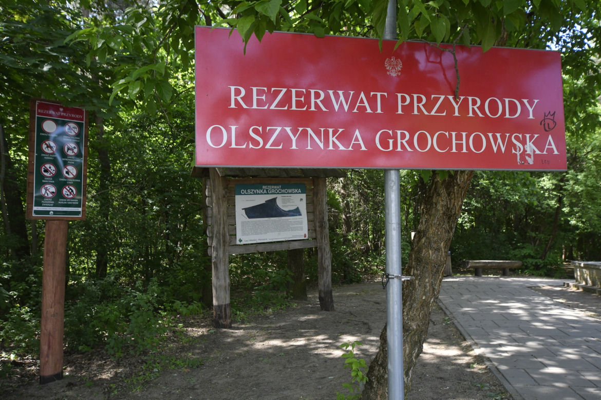 Makabryczne odkrycie na Pradze-Południe w Warszawie. Zwłoki mężczyzny wisiały na drzewie