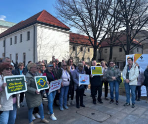 Portal Lublin - Brazylia