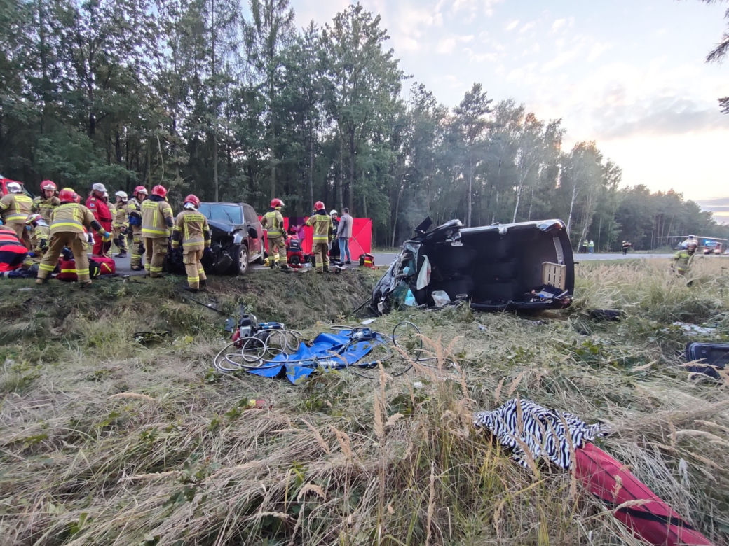Wypadek pod Kościanem. Zderzenie samochodu z jeleniem doprowadziło do czołówki