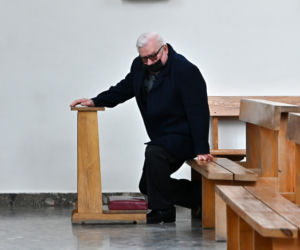 Prezes z palmą, Wałęsa bez
