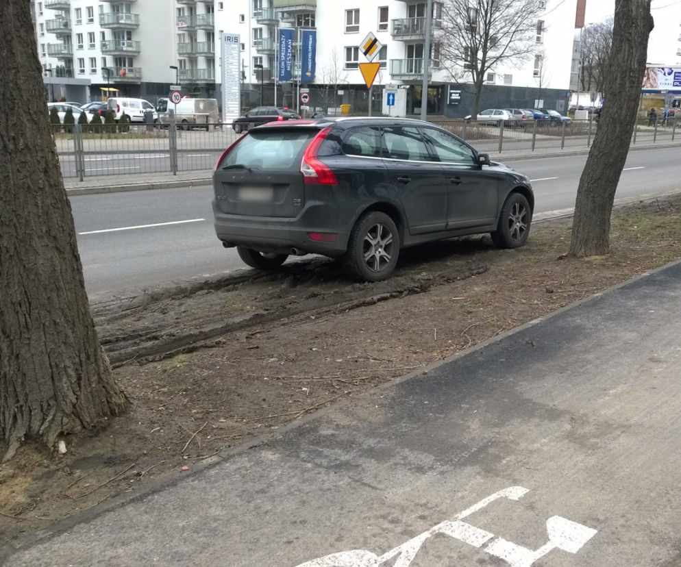 Warszawiacy parkują na trawnikach