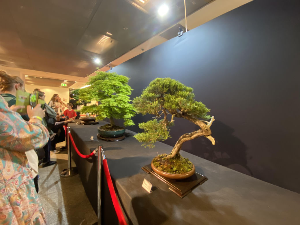 "Potworne Cuda", Światowa Wystawa Orchidei, Bonsai i Sukulentów oraz targi roślin na PGE Narodowym