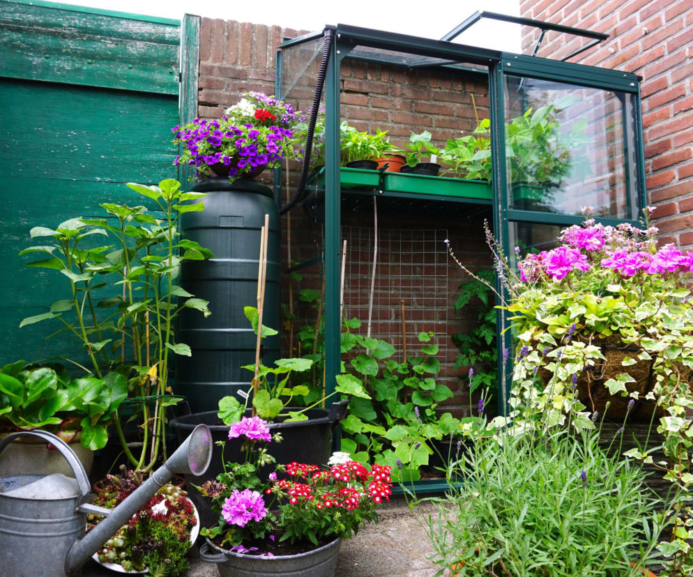 Mini szklarnie na balkon. Co możemy w nich uprawiać i ile kosztują w marcu 2026?