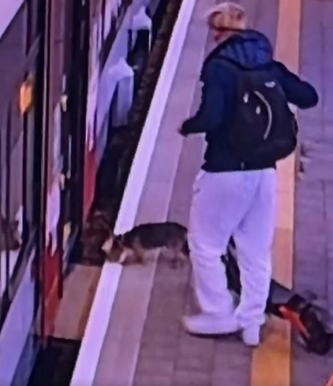 Sam wsiadł do pociągu i pojechał na gapę. Przechadzał się po wagonie i odwiedzał pasażerów