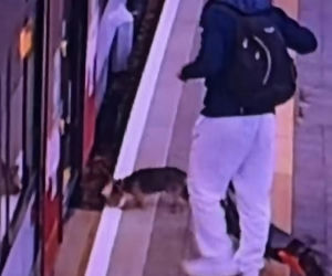 Sam wsiadł do pociągu i pojechał na gapę. Przechadzał się po wagonie i odwiedzał pasażerów