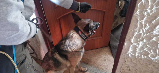 Szron wywęszył narkotyki