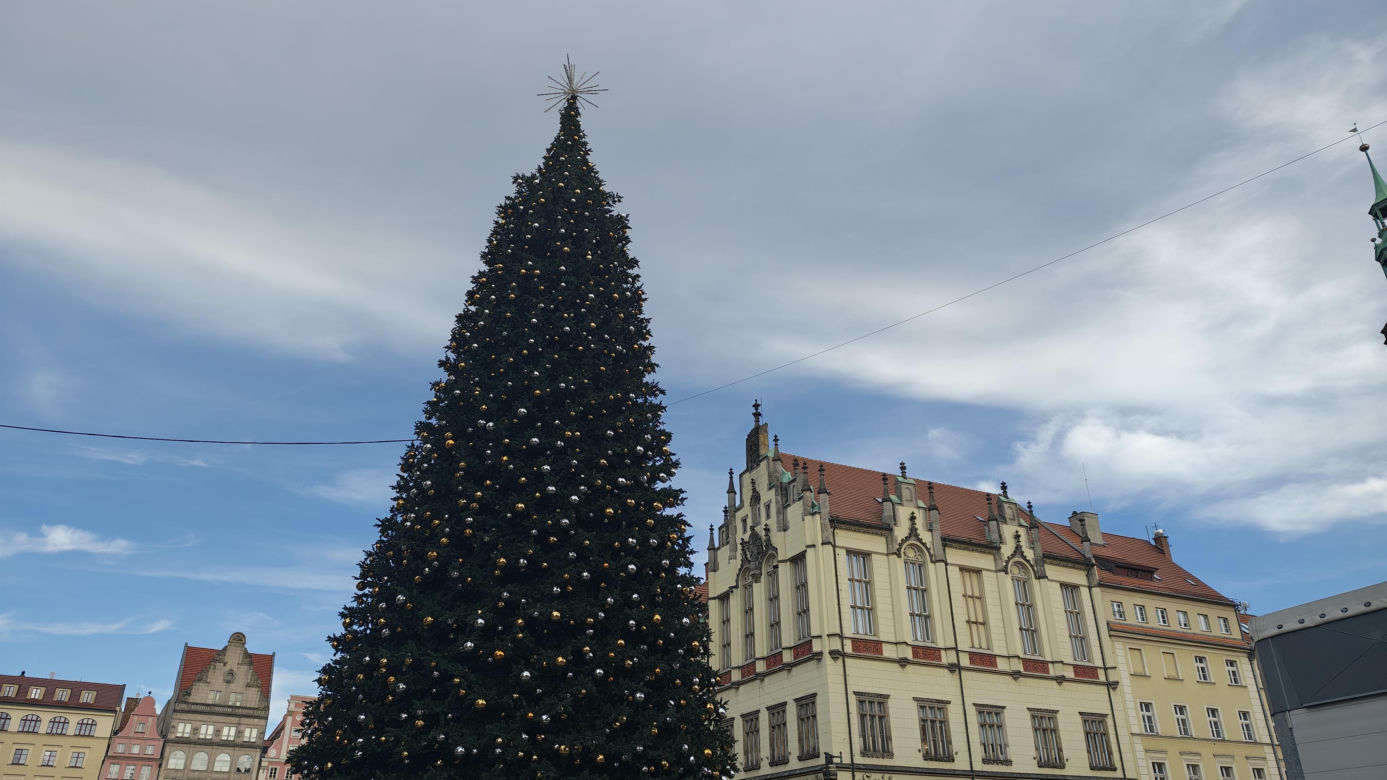 Co jest nie tak z nową choinką we Wrocławiu? "Brakuje gałązek, czubek jest niedopracowany"
