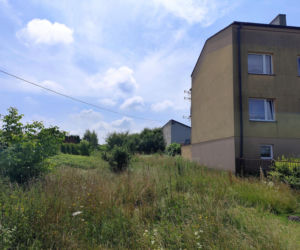Brutalny napad na młodą kobietę w Jędrzejowie