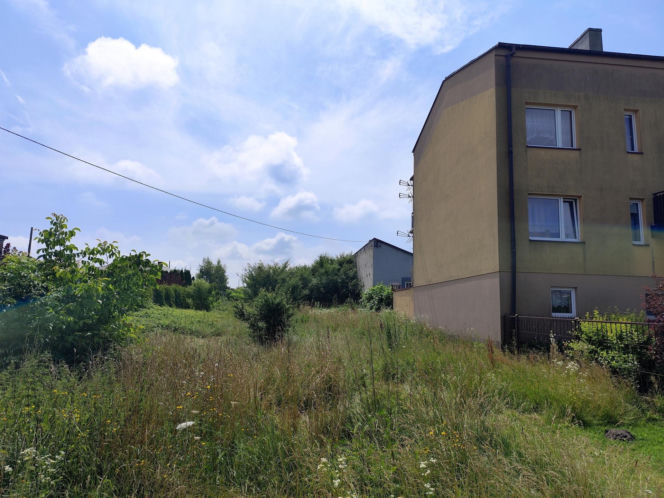 Brutalny napad na młodą kobietę w Jędrzejowie