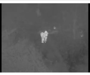 Strażacy z Przeworska szukali zaginionego człowieka, uratowali kota [ZDJĘCIA]