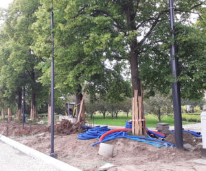 Zmiany w organizacji ruchu w centrum Torunia