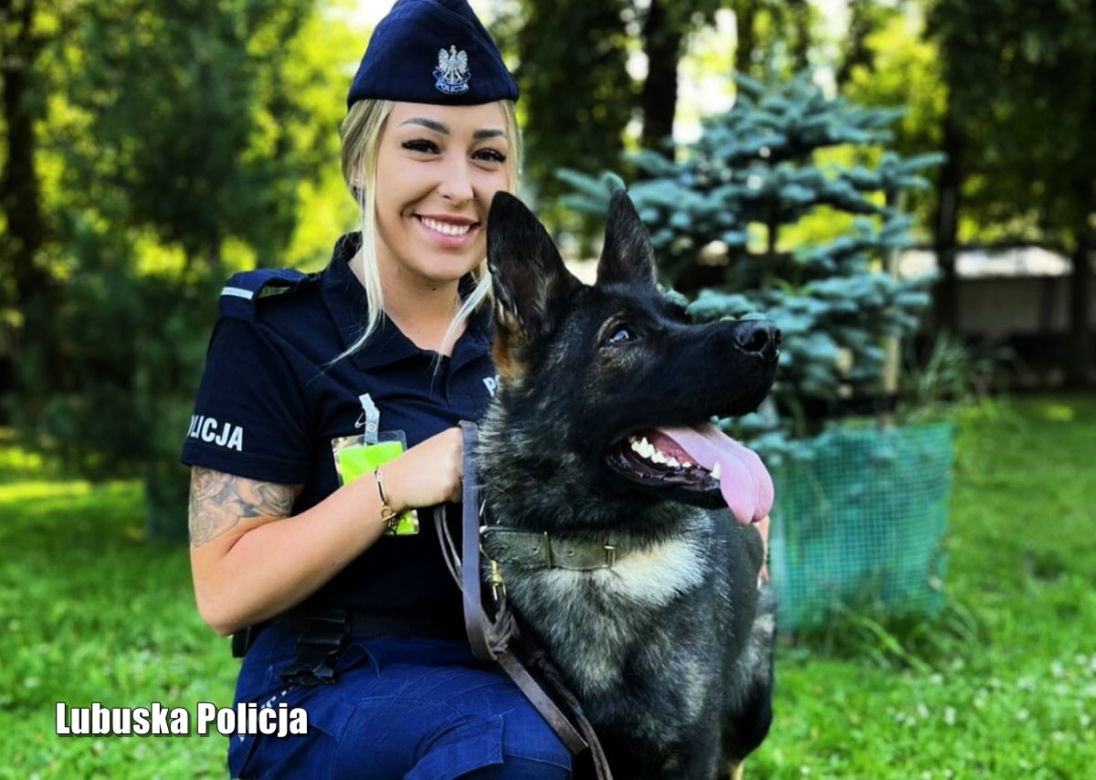 Policyjne psy w Lubuskiem - LAFI (Gorzów)