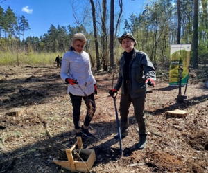 W Lesie Sekulskim rośnie już kilkaset nowych, młodych buków! Drzewa zasadzili członkowie siedleckiego samorządu i leśnicy