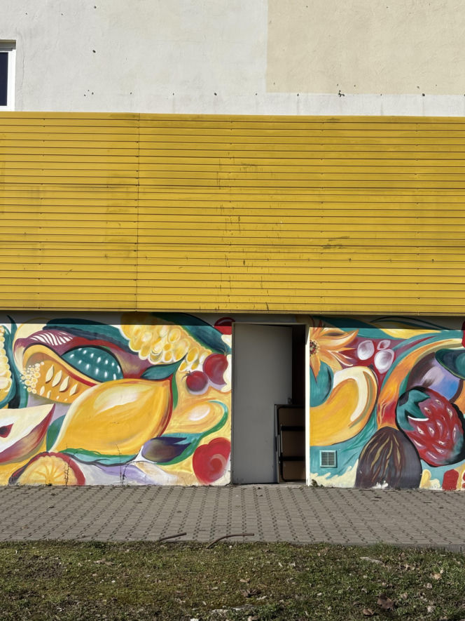 Plac Handlowy Manhattan w Krakowie, Wola Duchacka