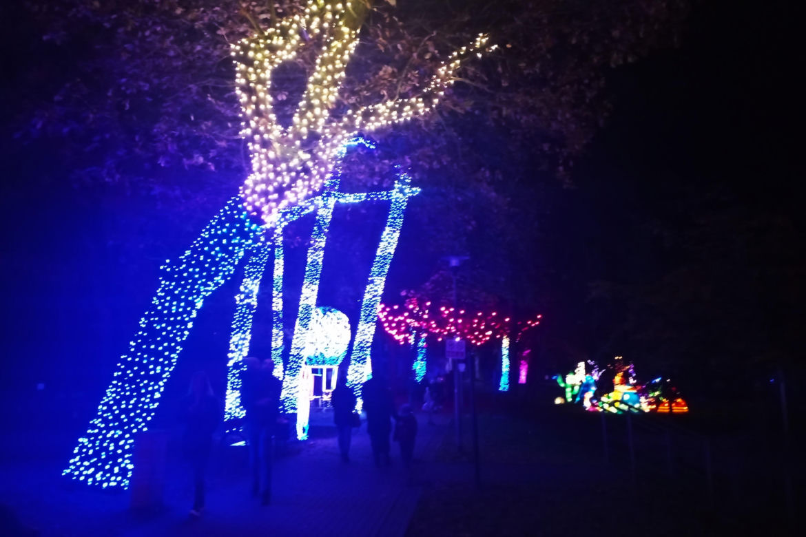 Garden of Lights w Szczecinie