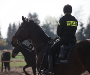 Poznań: Policja konna przeszła egzaminy i otrzymała atest [ZDJĘCIA]