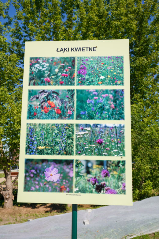 Botaniczny Park Kieszonkowy w Białymstoku już otwarty [ZDJĘCIA]