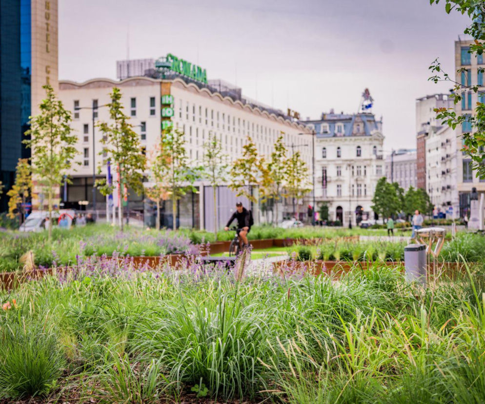 Kolejna atrakcja w Nowym Centrum Warszawy. Miasto chwali się zielonym sukcesem