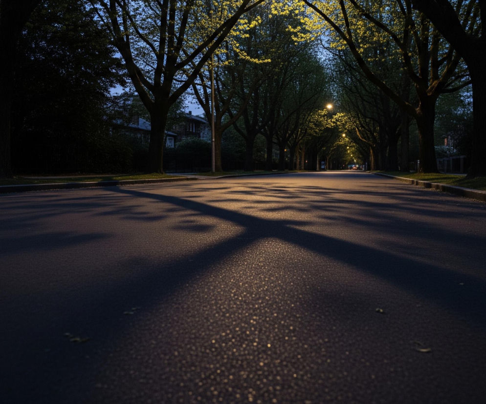 Asfaltowa droga biegnie prosto przez środek kadru, z ciemnym poboczem i drzewami po obu stronach. Światła latarni ulicznych oświetlają drzewa i drogę, tworząc jasne plamy i długie cienie na jej powierzchni. Liście drzew są jasnozielone, a niebo w oddali ma ciemnoniebieski odcień.
