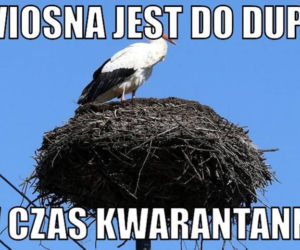 Dzień Wagarowicza 2020. Zobacz śmieszne MEMY na pierwszy dzień wiosny