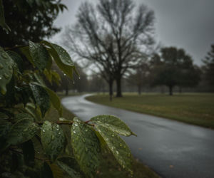 Pogoda na weekend we Wrocławiu 17-19 kwietnia. Temperatura wzrośnie, ale wróci też deszcz