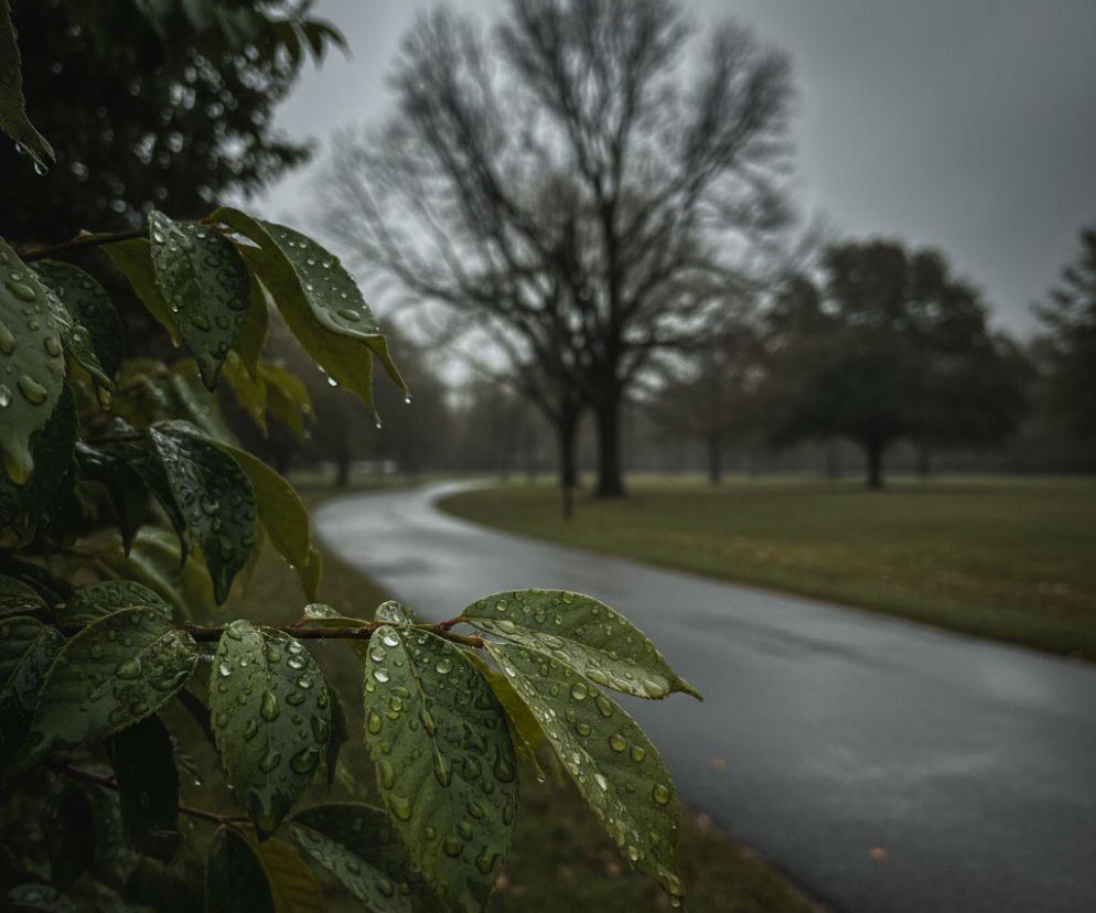 AI zdjęcie do artykułu