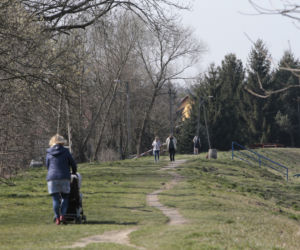 Jerzy Stuhr pokonał nowotwór pokona wirusa 