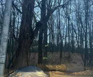 Puławy: 18-latek i jego kolega zaatakowali dwóch mężczyzn. Trafili do aresztu