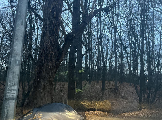 Puławy: 18-latek i jego kolega zaatakowali dwóch mężczyzn. Trafili do aresztu