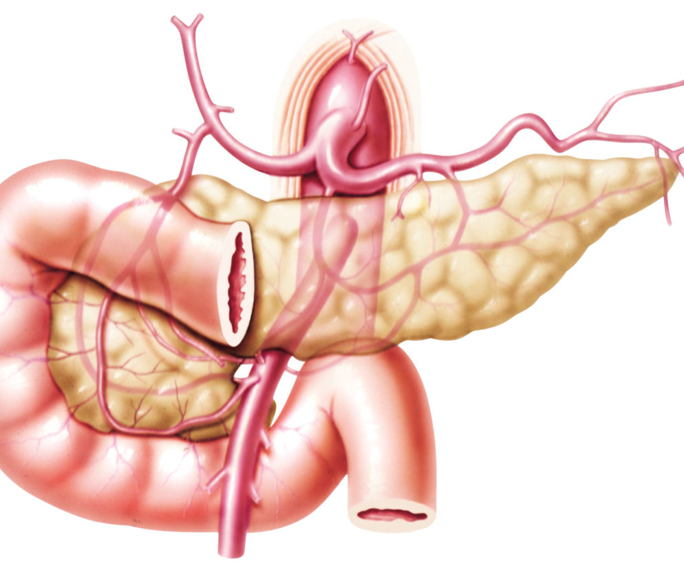 Cholangiografia – wsteczna, przezskórna, śródoperacyjna. Na czym polega?