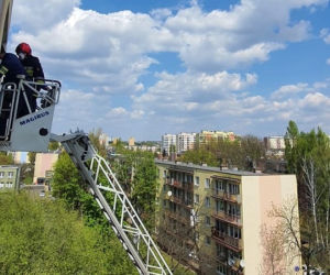 Spektakularne zatrzymanie przestępcy na łódzkim osiedlu! Do akcji zaangażowani... strażacy