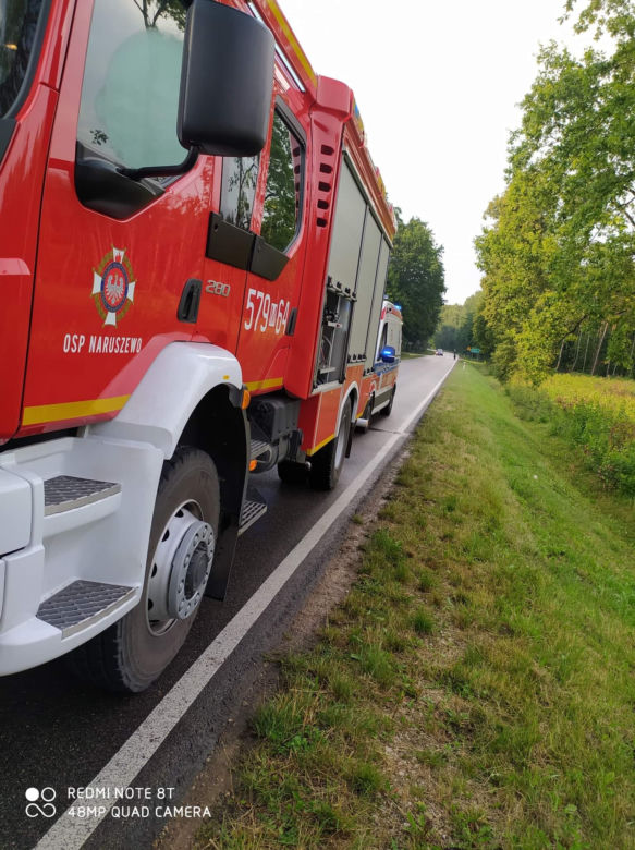 Koszmar na oczach kobiety i dzieci. 40-latkowi pękła czaszka po zderzeniu z łosiem pod Płońskiem
