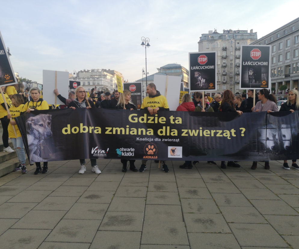 Trwa Wielki Marsz dla Zwierząt w Warszawie
