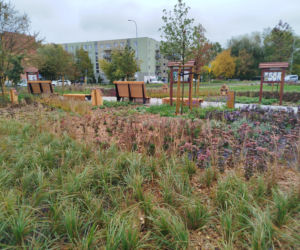 Park kieszonkowy w Siedlcach przy ul. Brzeskiej