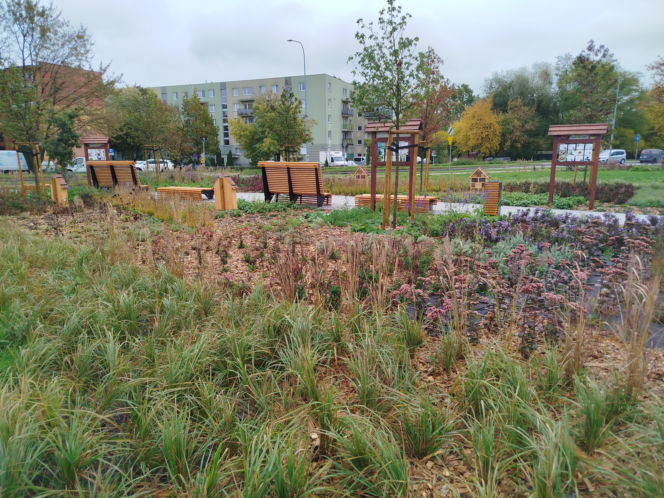 Park kieszonkowy w Siedlcach przy ul. Brzeskiej