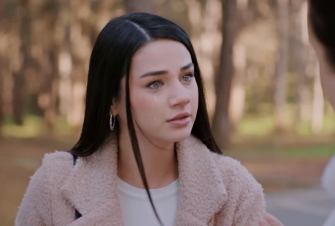 Miłość i nadzieja, odcinek 375. Cavidan, Bahar