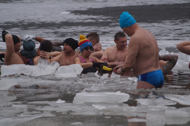 Lodowata woda, gorące emocje. Morsy znów opanowały jezioro pod Bydgoszczą