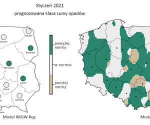 Jaka będzie zima 2020/2021? Czy spadnie śnieg? Prognozy są miażdżące. WAŻNY komunikat [PROGNOZA POGODY, MAPY, MIASTA, WOJEWÓDZTWA]