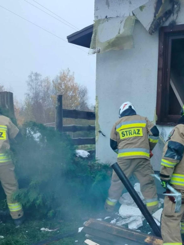 Cztery urocze szczeniaki uratowane z pogorzeliska. Nieprawdopodobne, gdzie ukryły się podczas pożaru
