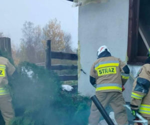 Cztery urocze szczeniaki uratowane z pogorzeliska. Nieprawdopodobne, gdzie ukryły się podczas pożaru
