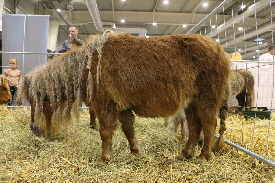 ZooPark 2023 w Lublinie przyciągnął tłumy!