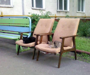 Takie rzeczy tylko w Rosji