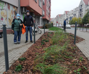 Nowy, zielony skwerek na Szyperskiej