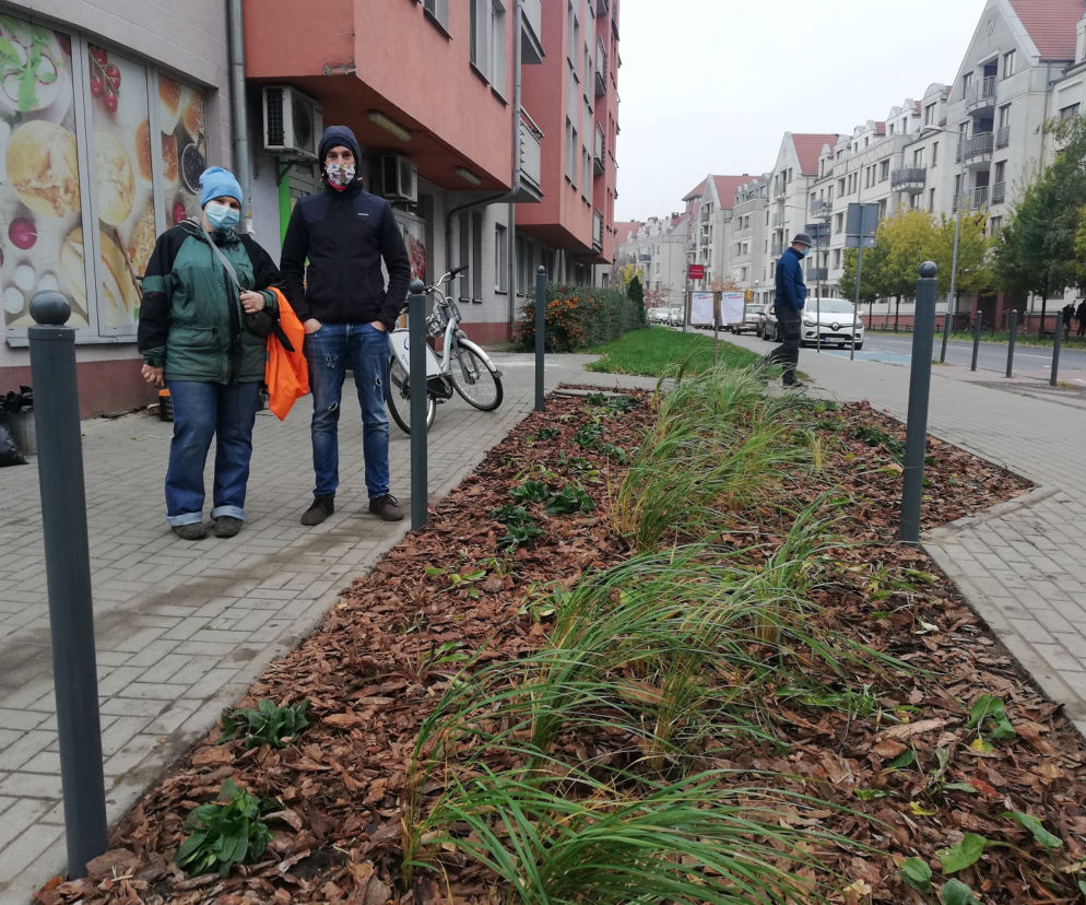 Nowy, zielony skwerek na Szyperskiej