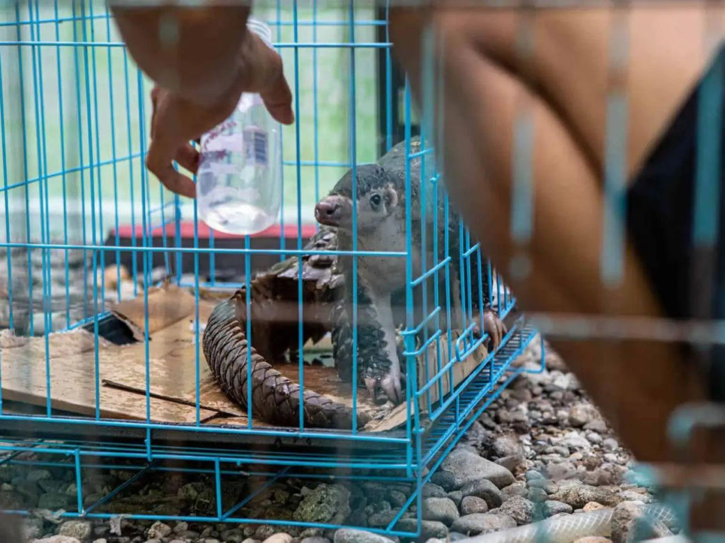Ponad milion złotych na ratowanie zwierząt w naturze dla ZOO Wrocław