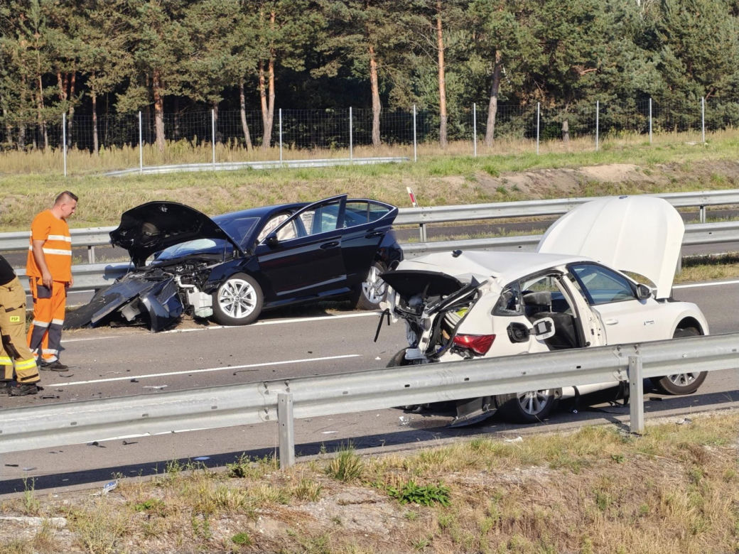 Jeżowe. Śmiertelny wypadek na S-19. Nie żyją kobieta i mężczyzna ze skody [ZDJĘCIA]