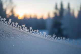 Dzień Świętej Łucji a przyszłość. Co łączy ludowe wierzenia z wizjami zakonnicy?
