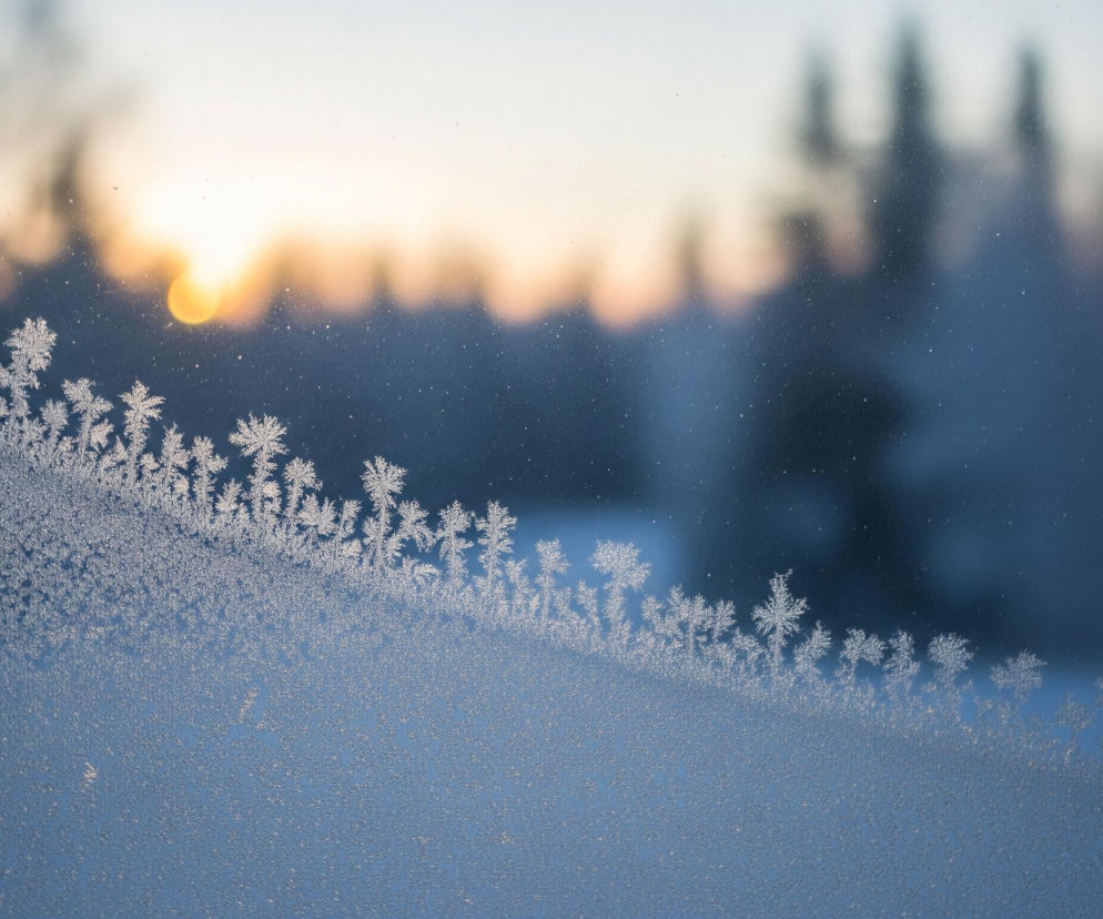 Widok zza zamarzniętej szyby, ukazujący zimowy krajobraz. Na pierwszym planie, w dolnej części obrazu, widoczne są gęste wzory szronu o nieregularnych, drobnych strukturach, tworzące fale i zakola. Powyżej nich rozciąga się pas bardziej złożonych, krystalicznych form przypominających gałęzie drzew lub paprocie, zwężających się ku górze i rozchodzących na boki. W tle, za szybą, rozmyty krajobraz przedstawia sylwetki ciemnych drzew, a za nimi rozpościera się niebo w odcieniach bladego błękitu i pomarańczy, z jasnym punktem słońca po lewej stronie. Cały obraz utrzymany jest w zimnych, niebiesko-białych i szaro-pomarańczowych tonacjach, sugerujących wschód lub zachód słońca.